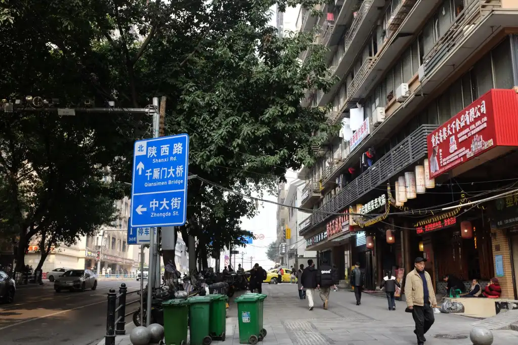 华北地区肠道健康产品选型：益生菌颗粒与益生元搭配方案