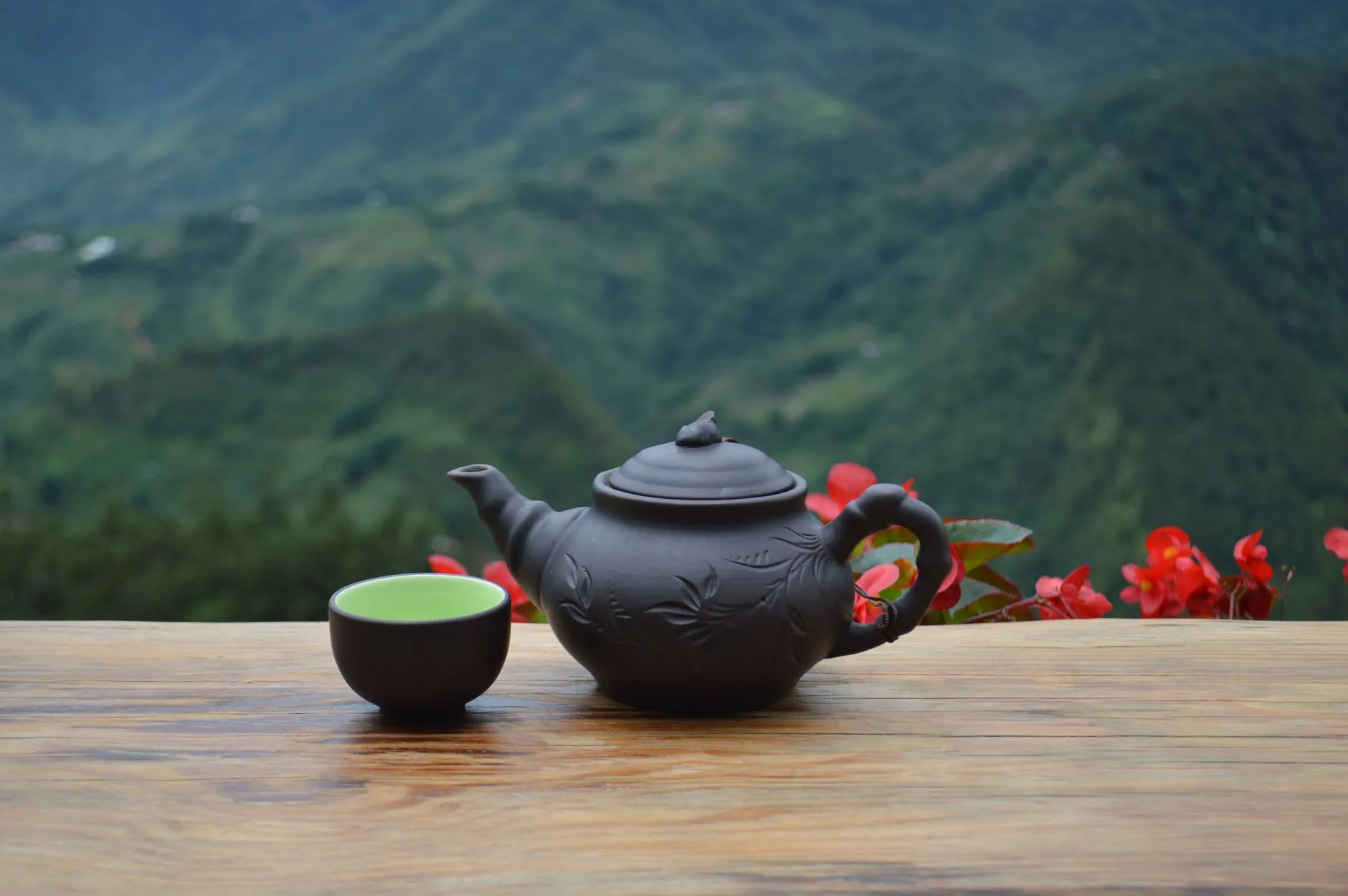 华北地区益生菌粉剂生产工艺流程与质量管控要点解析