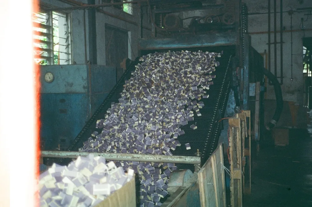 山东爱泽益生菌粉与胶囊产品配方差异及适用人群分析
